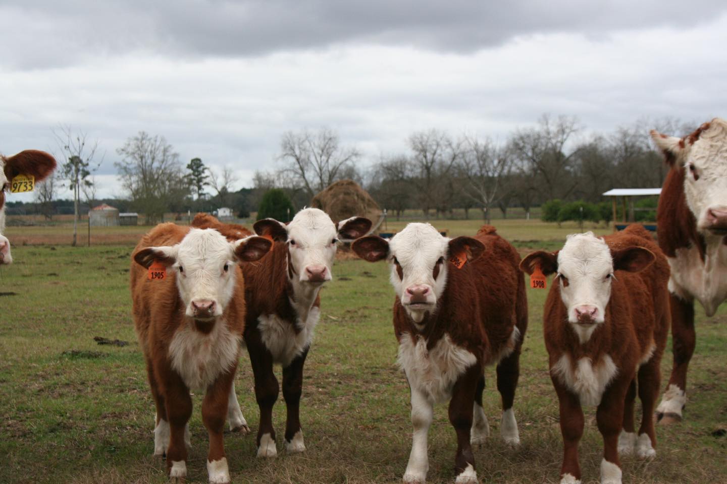 Chloe, Unity,  Bristol, & Abe!