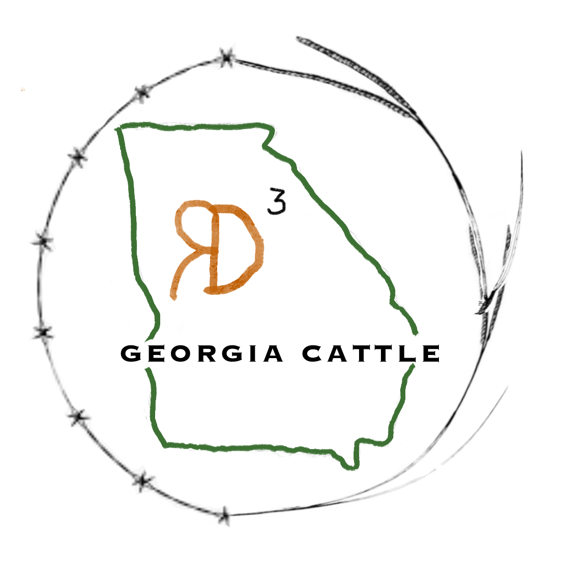 RD3 GA Cattle